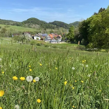 In Willingen-neerdar