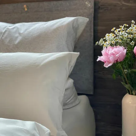 Appartement In Willingen-neerdar