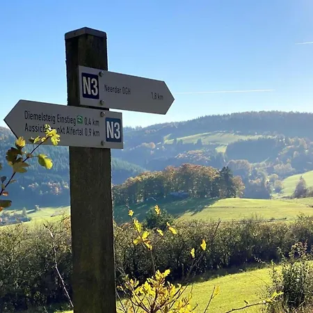 In Willingen-neerdar Appartement *