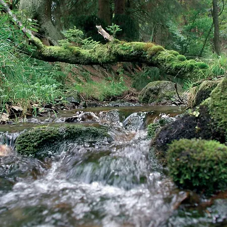 In Willingen-neerdar Appartement