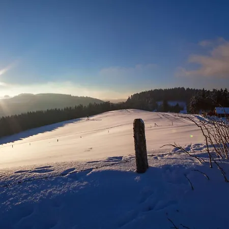 Apartment In Willingen-neerdar