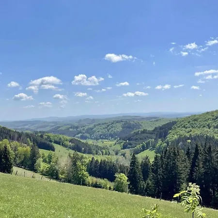 In Willingen-neerdar