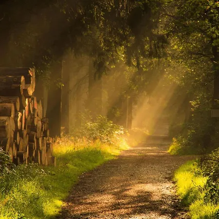 In Willingen-neerdar Appartement