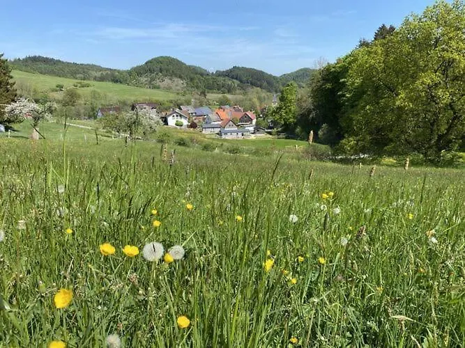 In Willingen-neerdar