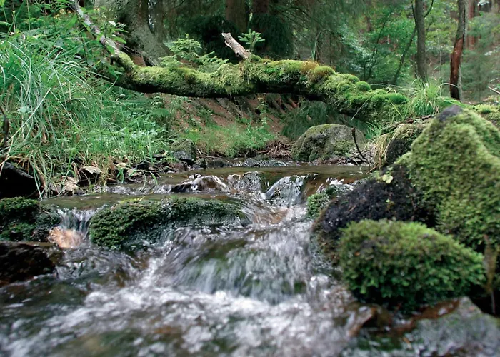 In Willingen-neerdar Apartman