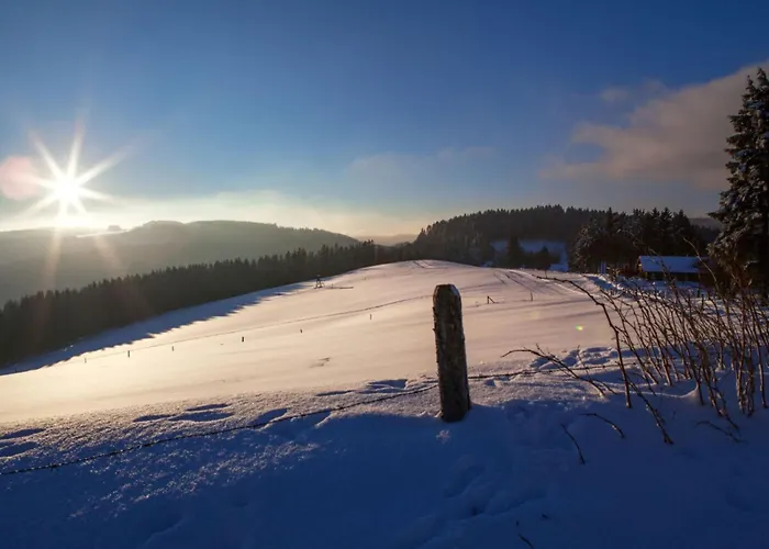 Apartman In Willingen-neerdar