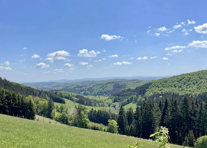 In Willingen-neerdar