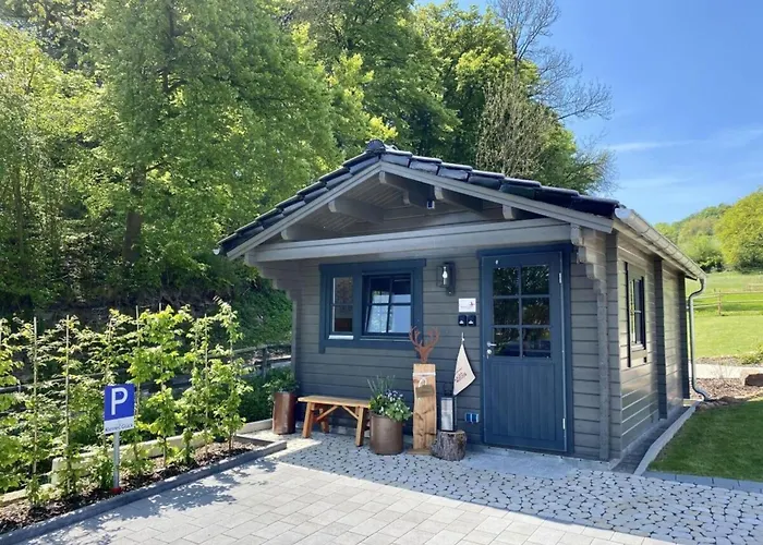 In Willingen-neerdar Apartman *