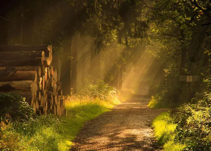 In Willingen-neerdar Apartman